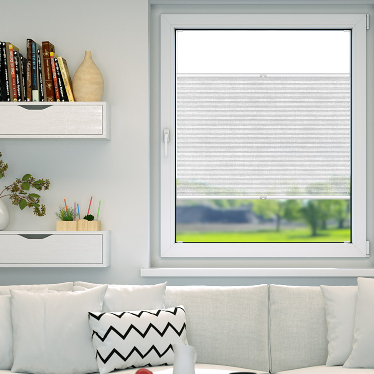 Transparent Premium Pleated Blind | Pleated blinds | Blinds | Domondo